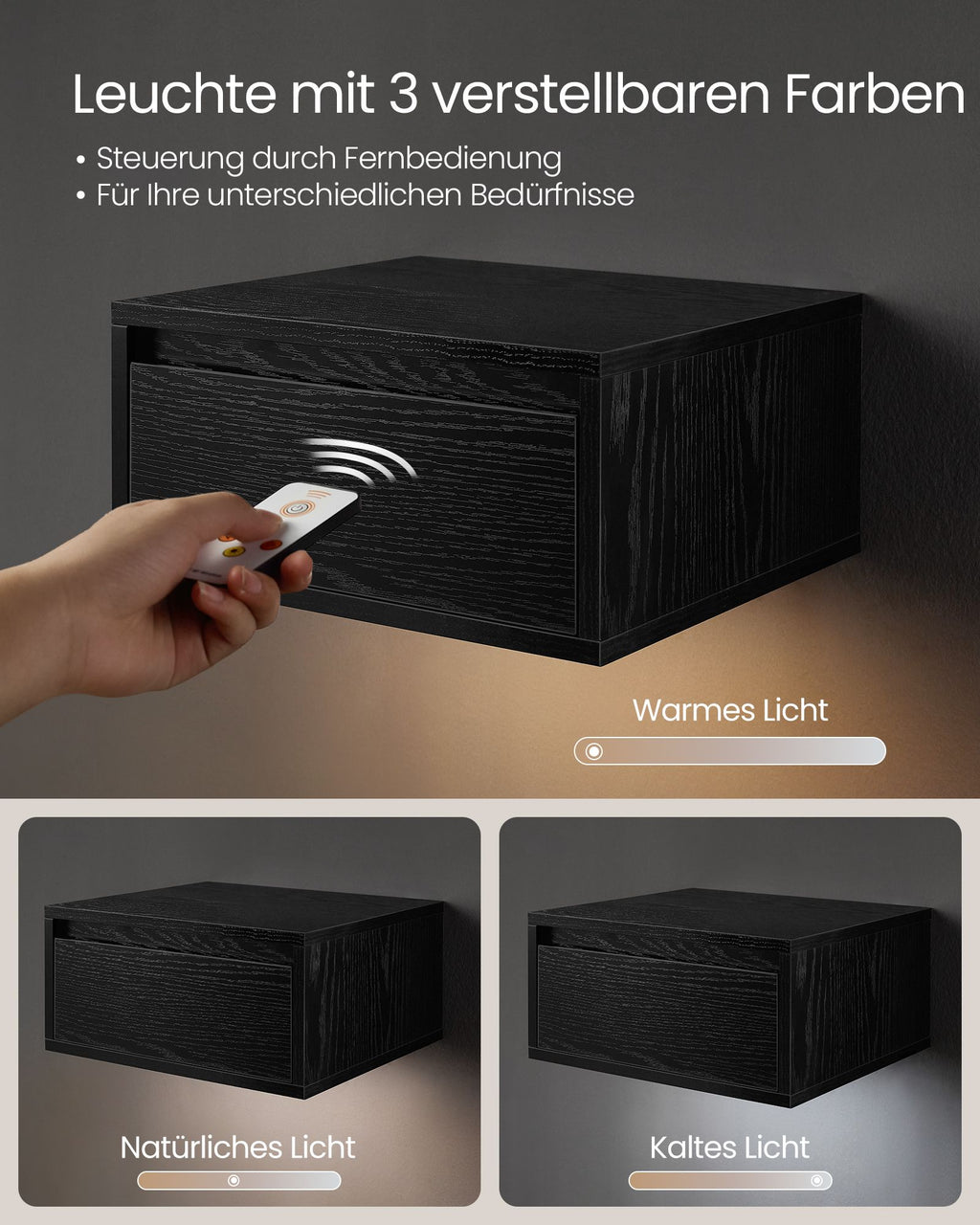 Wandregal hängend 2er Set schwarz