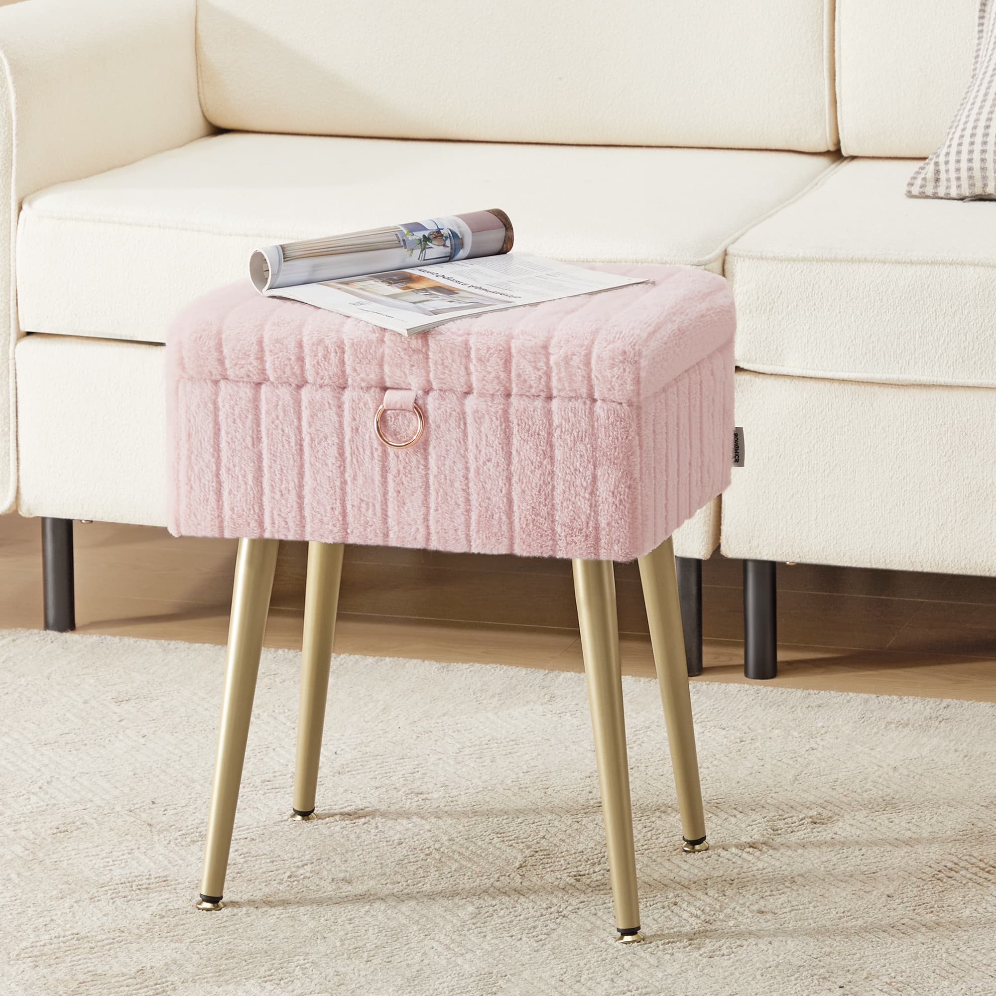 Schminktisch-Stuhl, Hocker mit Stauraum, Schminkhocker
