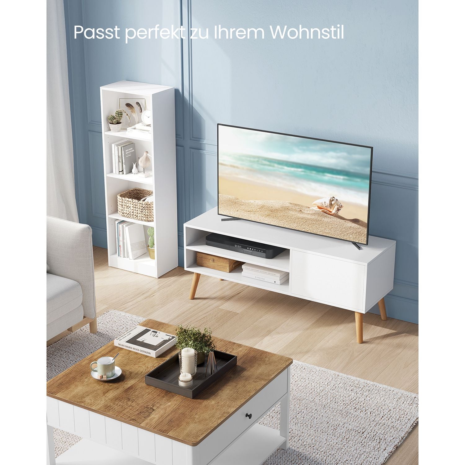 TV-Schrank mit 1 Tür 40 x 120 x 49 cm weiß