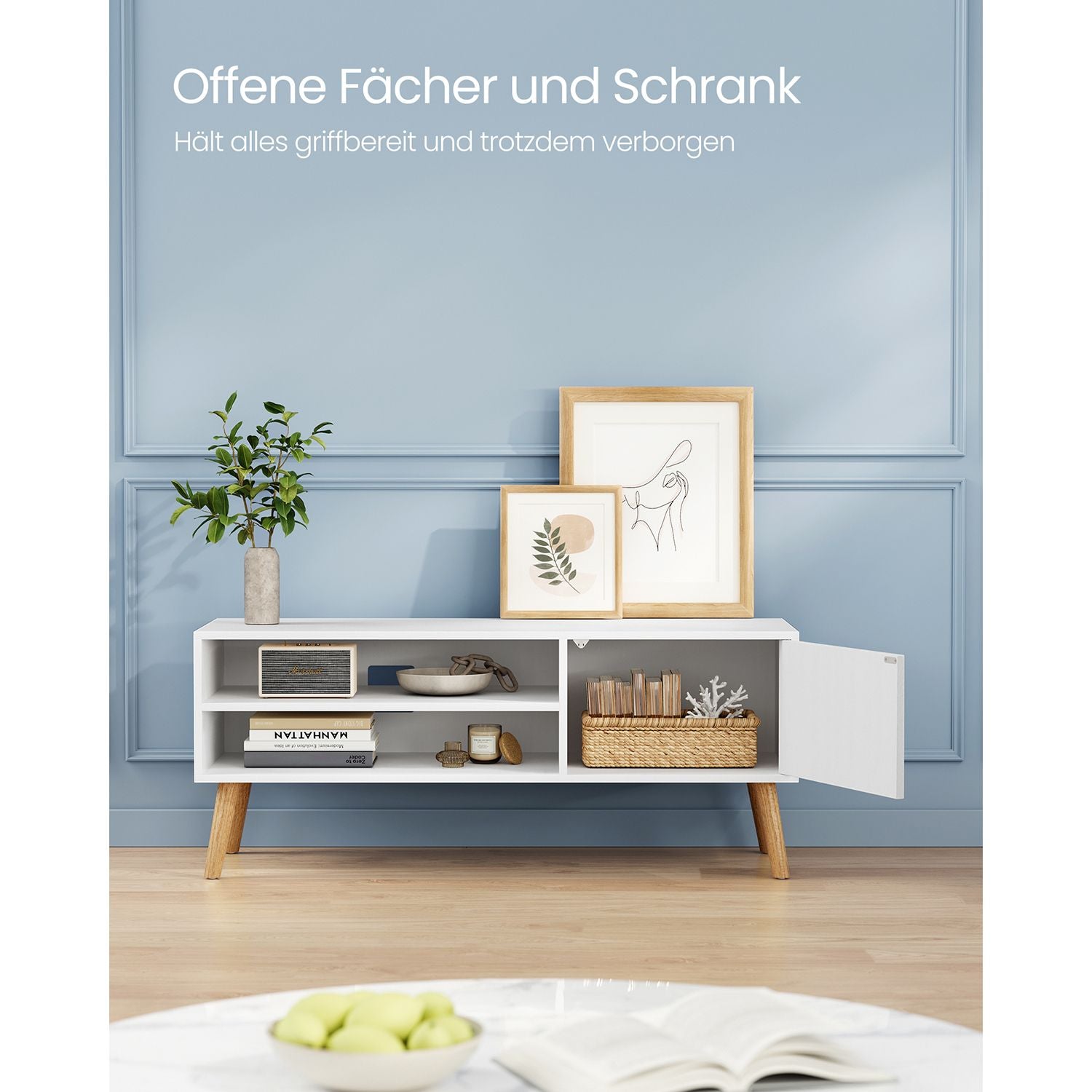TV-Schrank mit 1 Tür 40 x 120 x 49 cm weiß