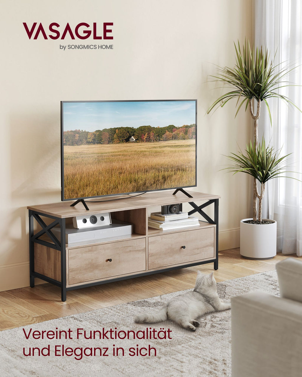 TV-Schrank 120 cm lang mit 2 Schubladen und 2 offenen Fächern