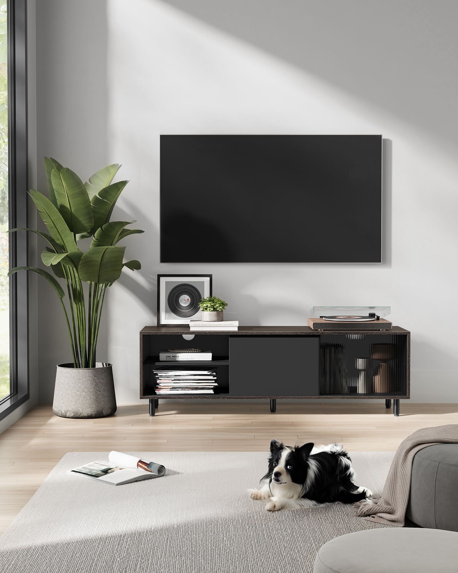 TV-Schrank superschnelle Montage modern aschbraun-tintenschwarz
