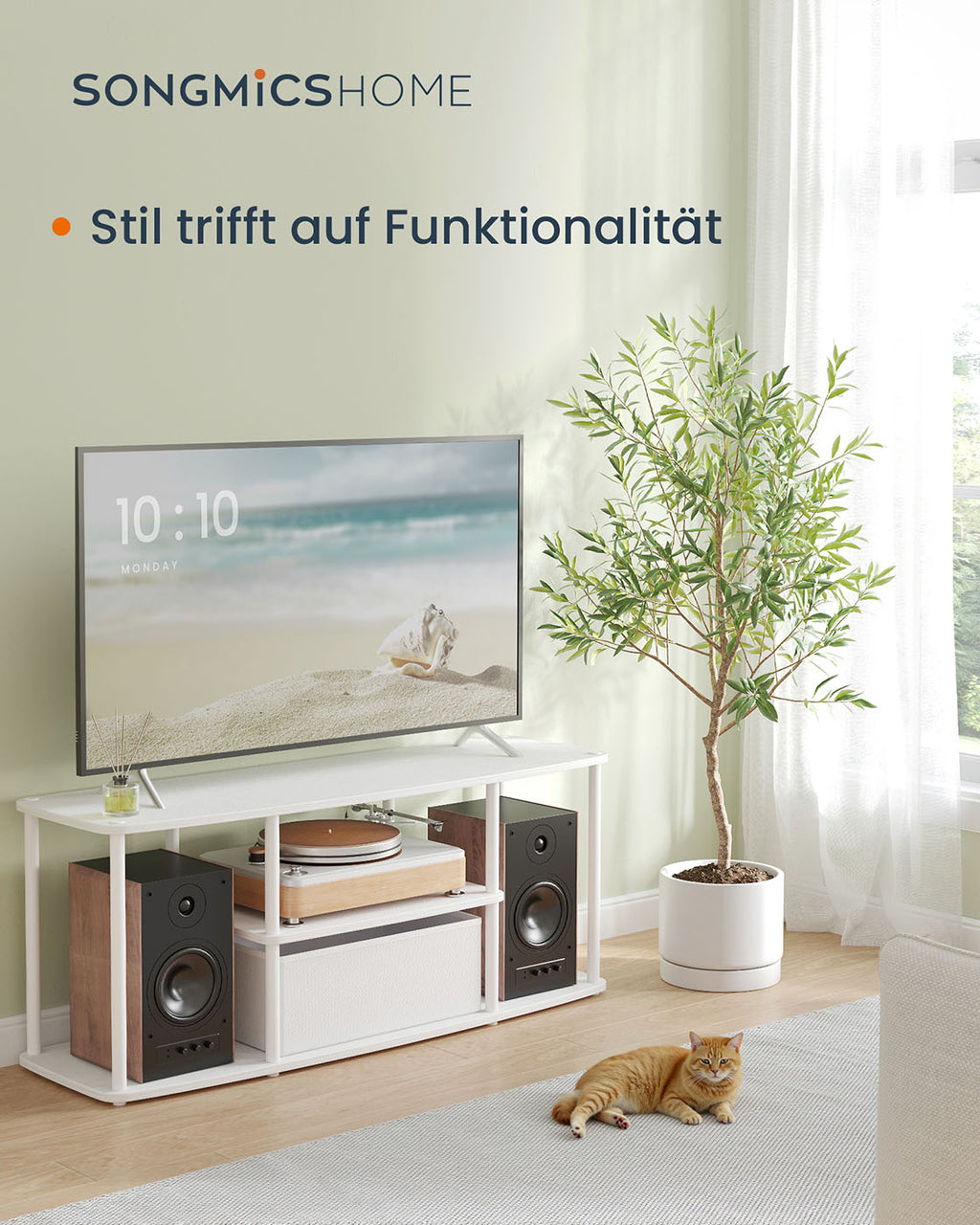 TV-Schrank für Fernseher bis zu 50 Zoll schneeweiß-mattweiß